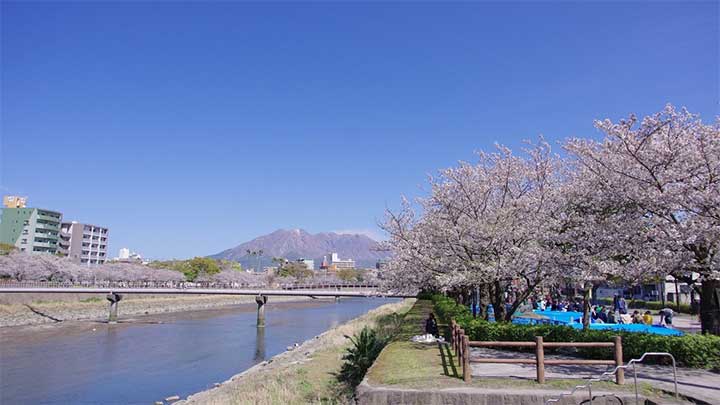 Monthly Daycare Cost and Fee Structure in Kagoshima City, Kagoshima Prefecture, Japan