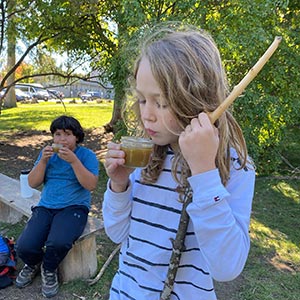 Rowan-Tree-Childrens-School-4-1.jpg